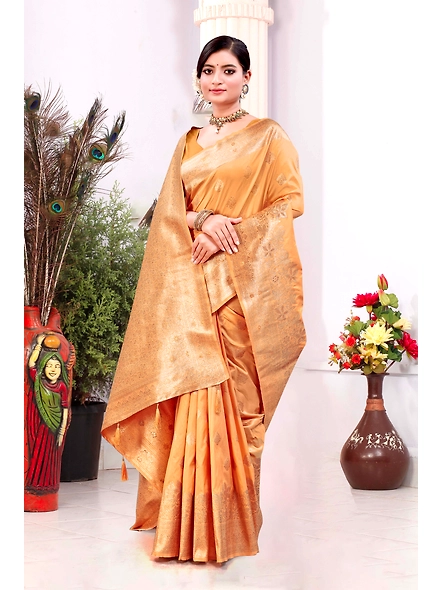 Parvati Multicolor Rapier Silk Saree-4