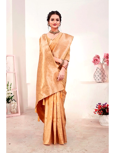 Parvati Multicolor Rapier Silk Saree-3