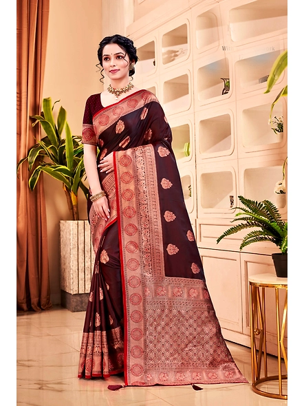 Parvati Multicolor Rapier Silk Saree