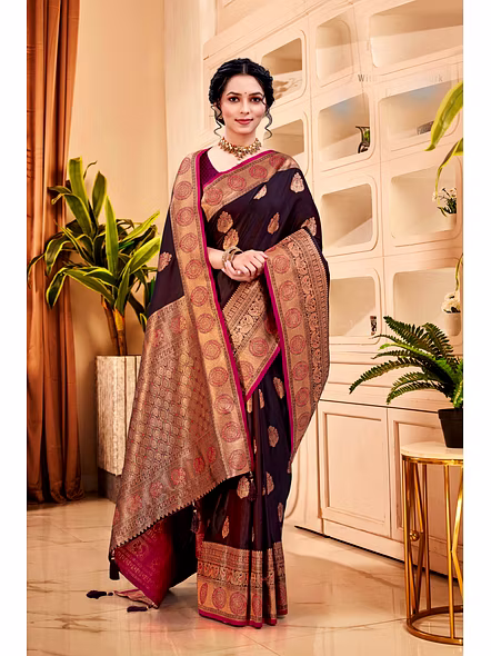 Parvati Multicolor Rapier Silk Saree-3