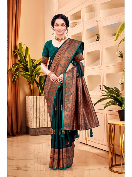 Parvati Multicolor Rapier Silk Saree-4