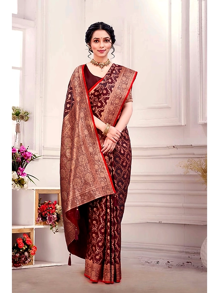 Parvati Multicolor Rapier Silk Saree-4