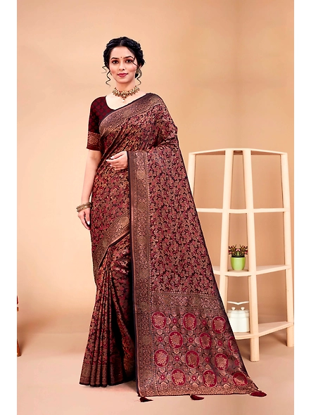 Parvati Multicolor Rapier Silk Saree