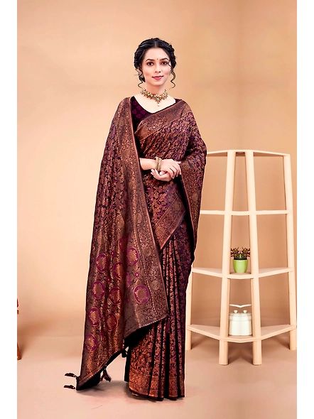 Parvati Multicolor Rapier Silk Saree-4