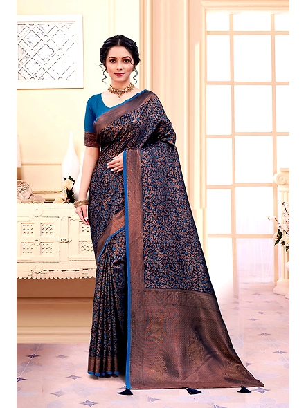 Parvati Multicolor Rapier Silk Saree