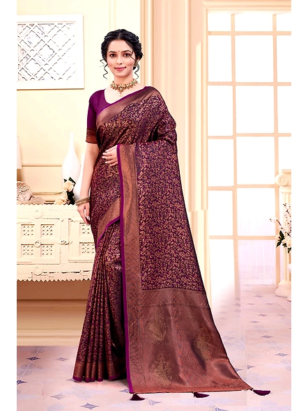 Parvati Multicolor Rapier Silk Saree-3