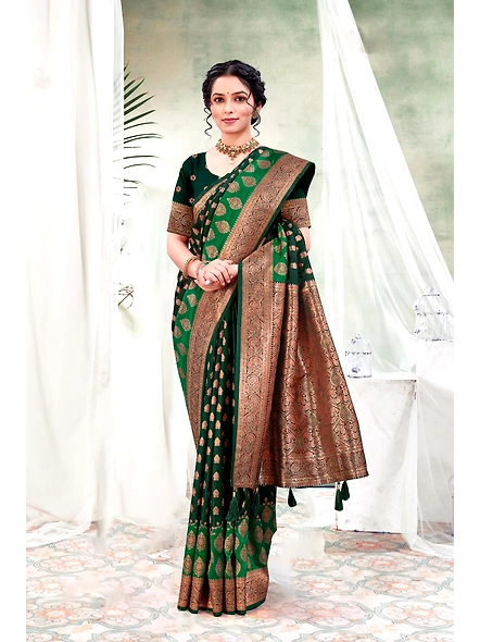 Parvati Multicolor Rapier Silk Saree-3
