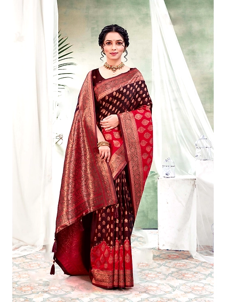 Parvati Multicolor Rapier Silk Saree-4