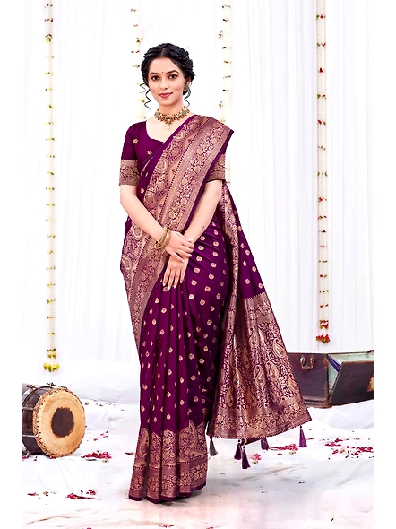 Parvati Multicolor Rapier Silk Saree-2