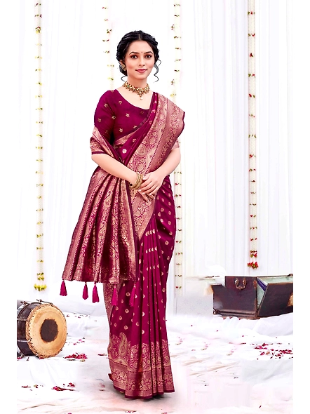 Parvati Multicolor Rapier Silk Saree-3