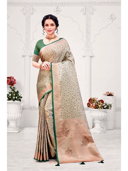 Parvati Multicolor Rapier Silk Saree