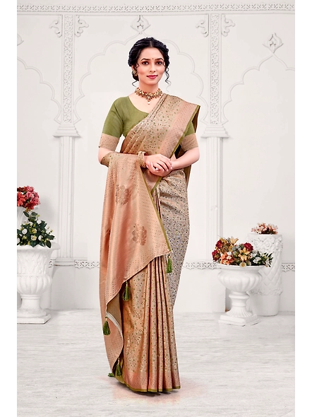 Parvati Multicolor Rapier Silk Saree-3