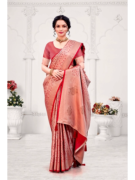 Parvati Multicolor Rapier Silk Saree-4