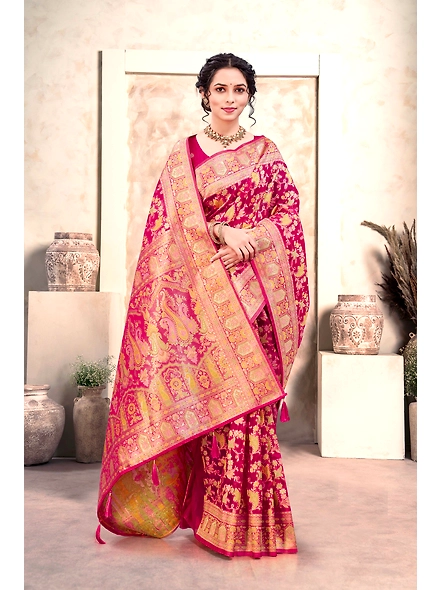 Parvati Multicolor Organza Saree-25586