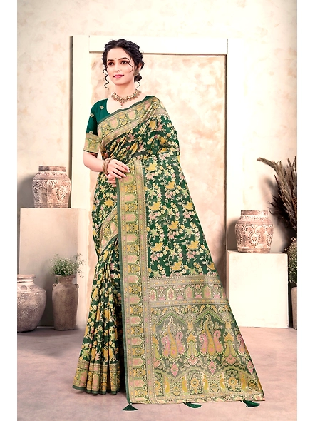 Parvati Multicolor Organza Saree-3