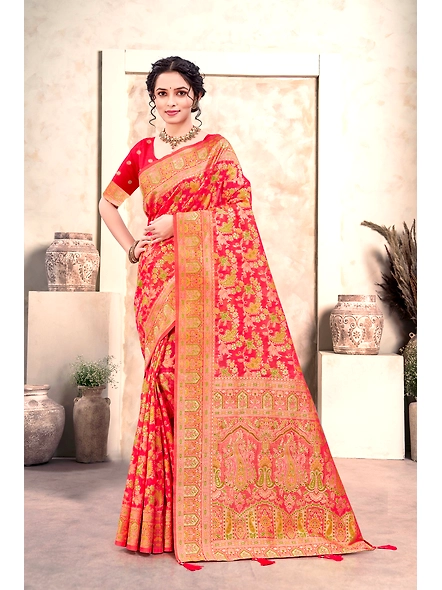 Parvati Multicolor Organza Saree-4
