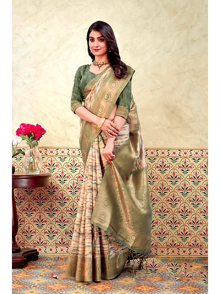 Parvati Multicolor Nir Saree-25612