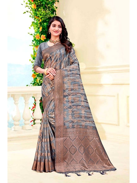 Parvati Multicolor Nir Saree-2