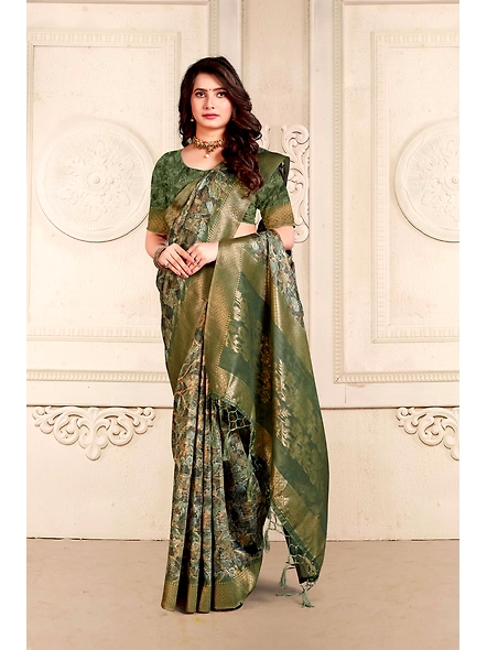 Parvati Multicolor Nir Saree-25615