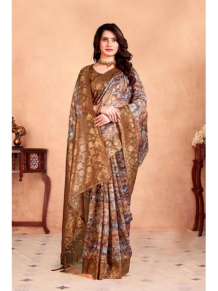 Parvati Multicolor Nir Saree-25616