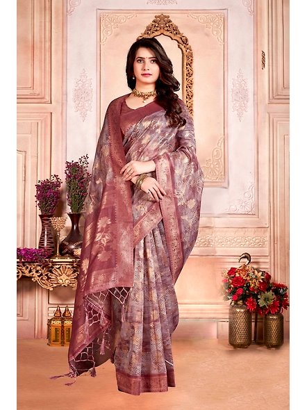 Parvati Multicolor Nir Saree-25617