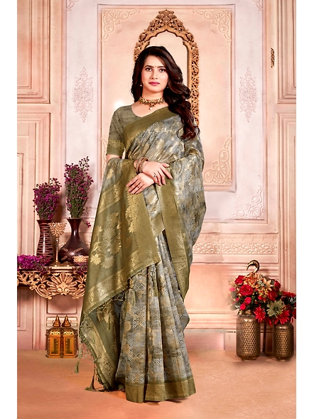 Parvati Multicolor Nir Saree-1