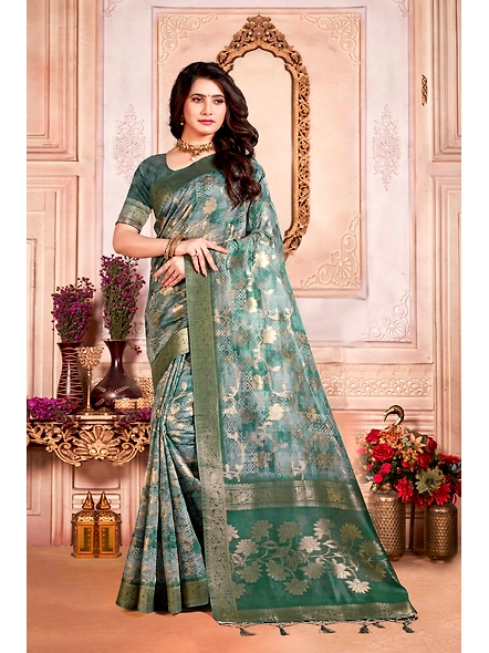 Parvati Multicolor Nir Saree-2