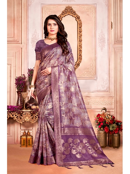 Parvati Multicolor Nir Saree-3