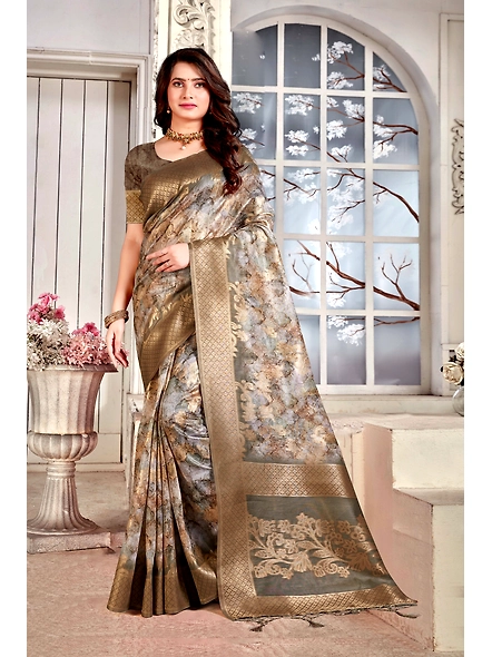 Parvati Multicolor Nir Saree-25618