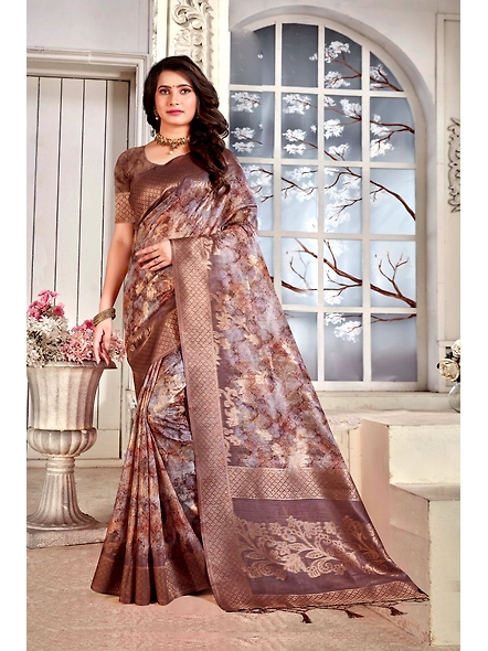 Parvati Multicolor Nir Saree-3