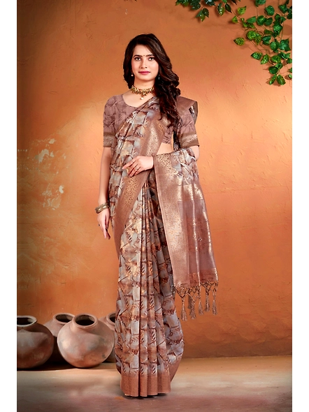 Parvati Multicolor Nir Saree-25619