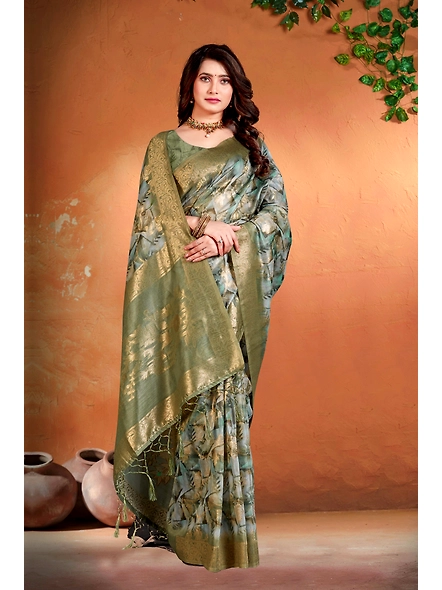 Parvati Multicolor Nir Saree-1