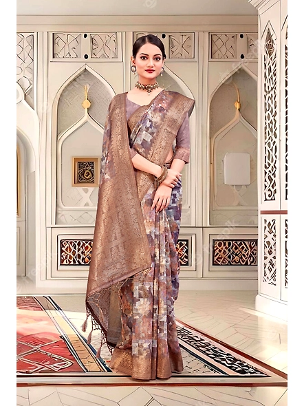 Parvati Multicolor Nir Saree-1