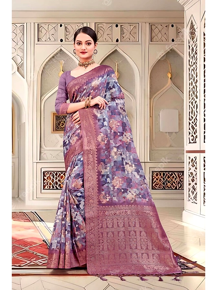 Parvati Multicolor Nir Saree-2