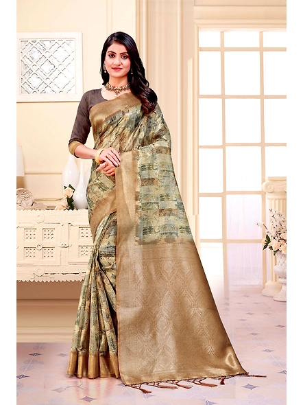 Parvati Multicolor Titan Saree-3