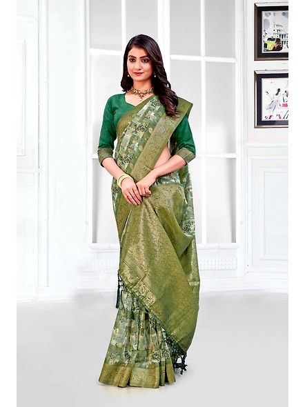 Parvati Multicolor Titan Saree-25634