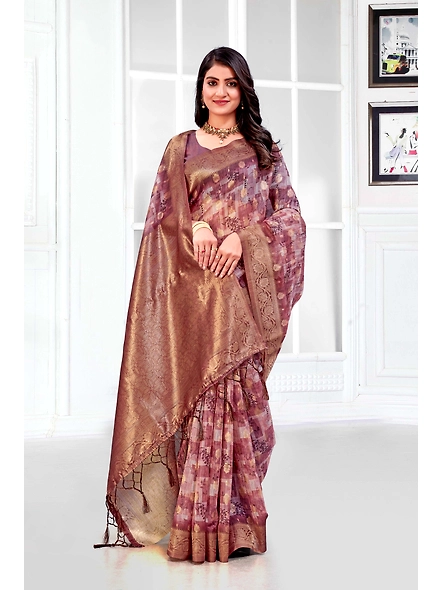Parvati Multicolor Titan Saree-1