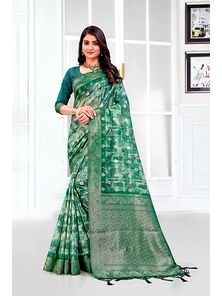Parvati Multicolor Titan Saree-2