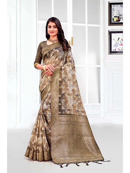 Parvati Multicolor Titan Saree-3