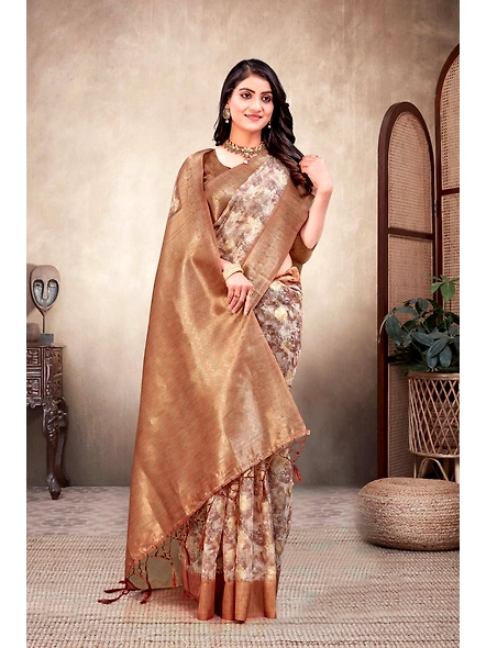 Parvati Multicolor Titan Saree-1