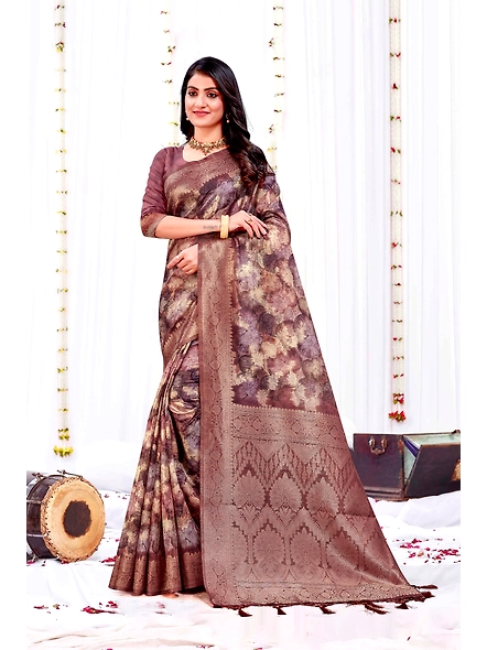 Parvati Multicolor Titan Saree-2