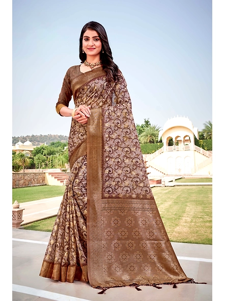 Parvati Multicolor Titan Saree-2