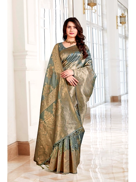 Parvati Multicolor Chetna Silk  Saree-25649