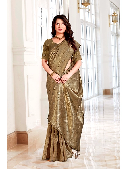 Parvati Multicolor Chetna Silk  Saree-1