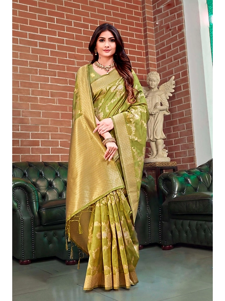 Parvati Multicolor Chetna Silk  Saree-1