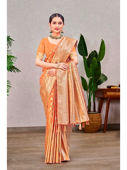 Parvati Multicolor Norah Silk  Saree-1