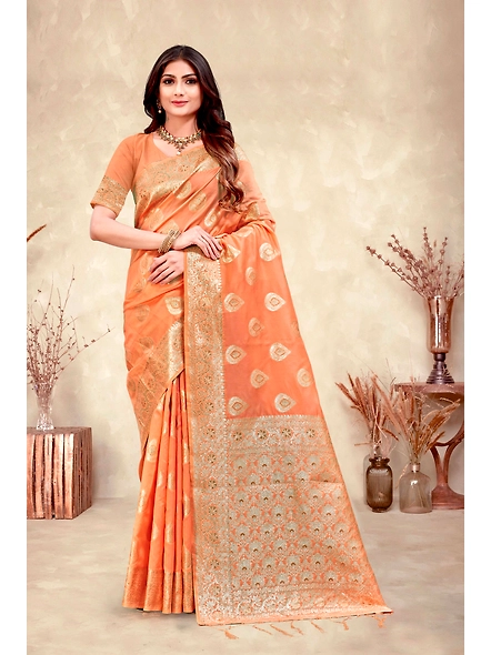 Parvati Multicolor Ayra Silk Saree-3