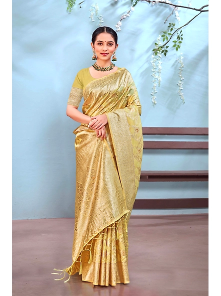 Parvati Multicolor Ayra Silk Saree-25683
