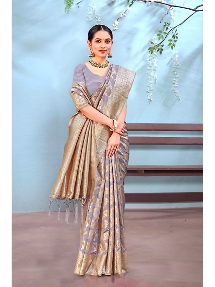 Parvati Multicolor Ayra Silk Saree-1