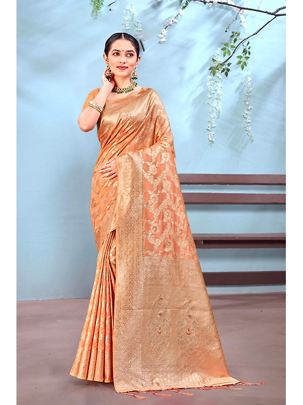 Parvati Multicolor Ayra Silk Saree-2